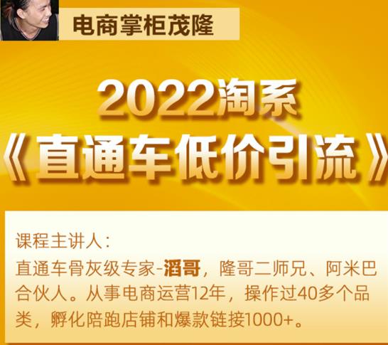 茂隆2022直通车低价引流玩法，教大家如何低投入高回报的直通车玩法-优品网赚资源库