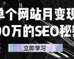 单个网站月变现100万的SEO秘密，百分百做出赚钱站点-优品网赚资源库