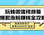 玩转微信视频号爆款涨粉赚钱全攻略，快速涨粉百万变现万元秘诀-优品网赚资源库