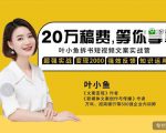 叶小鱼21天短视频文案拆书营，学完轻松搞定各类书单短视频文案-优品网赚资源库