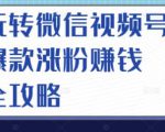 玩转微信视频号爆款涨粉赚钱全攻略，让你快速抓住流量风口，收获红利财富-优品网赚资源库