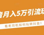 老古董·抖音月入5万引流玩法，看看老司机如何玩转抖音(附赠：抖音另类引流思路)-优品网赚资源库