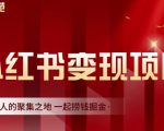 渣圈学苑·小红书虚拟资源变现项目，一起捞钱掘金价值1099元-优品网赚资源库