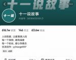 十一说故事·故事性中视频，观众快速共鸣从而快速变现的中视频玩法-优品网赚资源库
