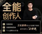 王松傲寒·全能创作人思维课，帮你打造创作人IP，全面提升导演思维-优品网赚资源库