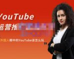 外国人眼中的YouTube该怎么玩？Elisa·YouTube运营推广实战技巧-优品网赚资源库