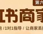 贾真-小红书商家营第6期商家版，21天带货陪跑课，让商家丢掉付流量-优品网赚资源库
