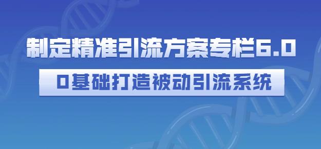 制定精准引流方案专栏6.0，0基础打造被动引流系统-优品网赚资源库