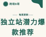 【跨境B哥】独立站潜力爆款选品推荐,测款出单率高达百分之80-优品网赚资源库