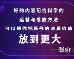 张sir账号流量增长课,告别海王流量,让你的流量更精准-优品网赚资源库