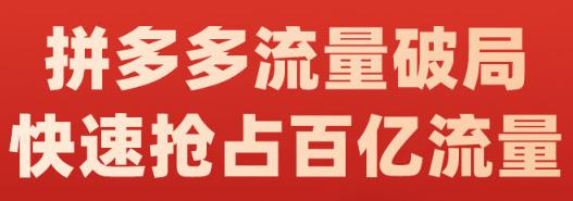 阿杰·拼多多流量破局:如何打黑标,爆款的思路,拼多多流量框架,快速抢占百亿流量-优品网赚资源库
