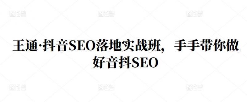 王通·抖音SEO落地实战班,手手带你做好音抖SEO-优品网赚资源库