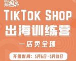 疯人院:TikTok Shop出海训练营（一店卖全球)，出海抢占全球新流量-优品网赚资源库