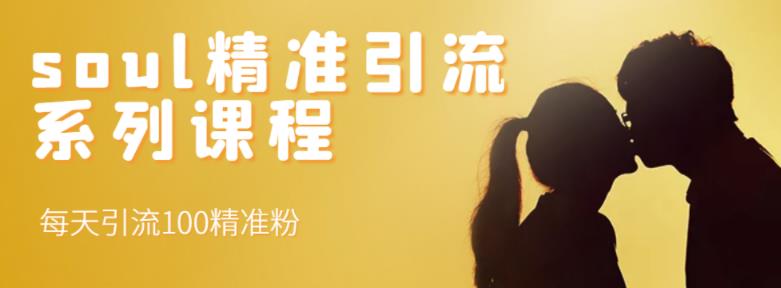 soul精准引流系列课程，每天引流100精准粉-优品网赚资源库