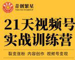 张萌21天视频号实战训练营,裂变涨粉、内容创作、视频号变现 价值298元-优品网赚资源库
