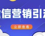 微信营销策划引流系列课程，每天引流100精准粉-优品网赚资源库