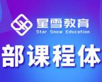 星雪教育淘系高级班,更全的运营提升方案,零基础由浅入深,店铺最新玩法-优品网赚资源库