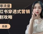 苏歆：小红书穿透式营销收割攻略，引爆流量，助你玩转小红书-优品网赚资源库