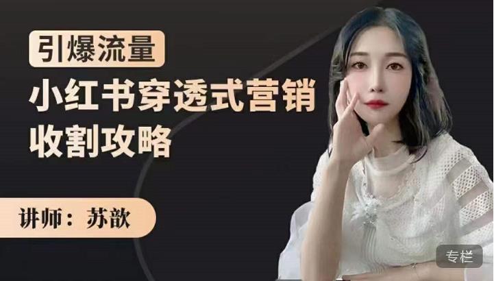 苏歆：小红书穿透式营销收割攻略，引爆流量，助你玩转小红书-优品网赚资源库