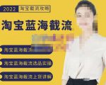 2022淘宝蓝海截流攻略,淘宝蓝海截流选品上货实操讲解-优品网赚资源库