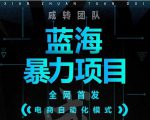 引流哥蓝海暴力躺赚项目:无需发圈无需引流无需售后,每单赚50-500(教程+线报群)-优品网赚资源库