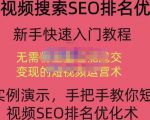宋老师·短视频搜索SEO优化，教你10分钟创作一个短视频，三天排名上第一-优品网赚资源库