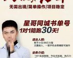 星哥同城教育书单号课程，无需出境简单操作项目稳定-优品网赚资源库