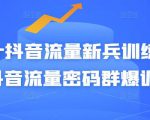 Peter抖音流量新兵训练营-破解抖音流量密码群爆训练营（新兵）-优品网赚资源库