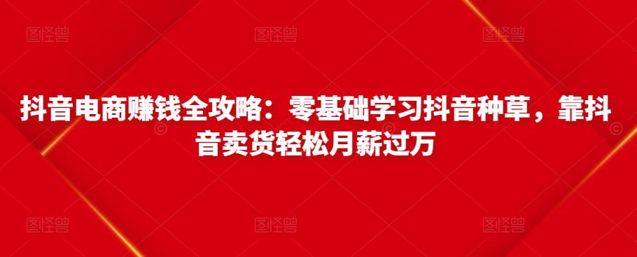 抖音电商赚钱全攻略：零基础学习抖音种草，靠抖音卖货轻松月薪过万-优品网赚资源库