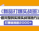 凌童《新品打爆实战班》,一套完整的实操实战落地方法,打爆链接超2000+(28节课)-优品网赚资源库