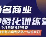 杨名商业IP孵化训练营，从商业到内容到转化一站式学 价值5980元-优品网赚资源库