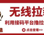 最新接码无限拉新项目，利用接码平台赚拉新平台差价，轻松日赚500+-优品网赚资源库