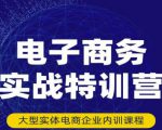 民赛电气内部出品:电子商务实战特训营,全方位带你入门电商,308种方式玩转电商-优品网赚资源库