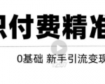 玩转知识付费项目精准引流，给你1套课多账号操作落地方案！-优品网赚资源库