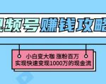 玩转微信视频号赚钱：小白变大咖涨粉百万实现快速变现1000万的现金流-优品网赚资源库