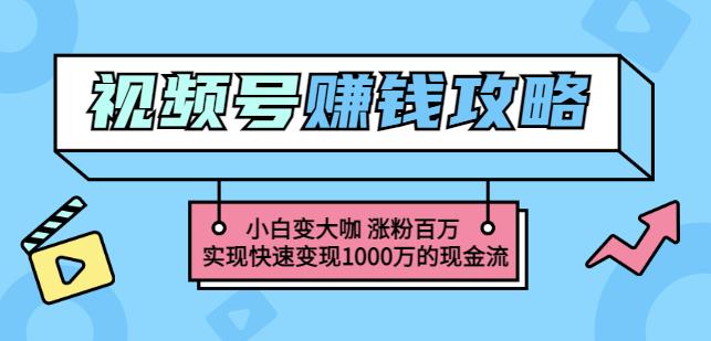 玩转微信视频号赚钱:小白变大咖涨粉百万实现快速变现1000万的现金流-优品网赚资源库
