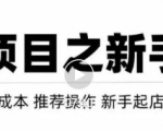 虚拟项目快速起店模式，0成本打造月入几万虚拟店铺！-优品网赚资源库