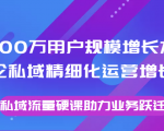 8000万用户规模增长方法论私域精细化运营增长，私域流量硬课助力业务跃迁-优品网赚资源库