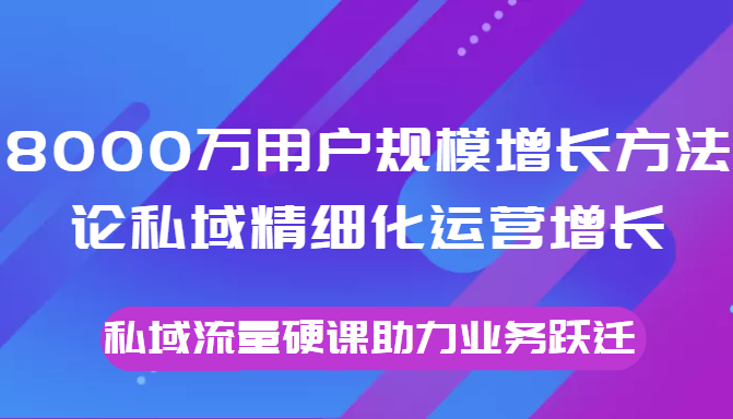 8000万用户规模增长方法论私域精细化运营增长，私域流量硬课助力业务跃迁-优品网赚资源库