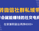 玩转微信社群私域带货，学会就能赚钱的社交电商，在家兼职副业再挣8000+-优品网赚资源库