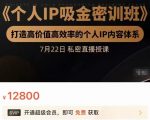 个人IP吸金密训班，打造高价值高效率的个人IP内容体系（价值12800元）-优品网赚资源库