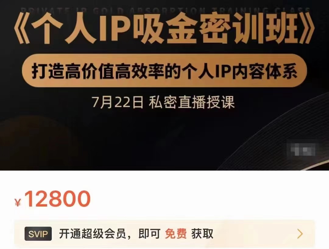 个人IP吸金密训班，打造高价值高效率的个人IP内容体系（价值12800元）-优品网赚资源库