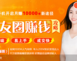 全网千万人气导师亲授:零基础/易上手的朋友圈赚钱攻略,让你轻松月入过万-优品网赚资源库