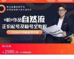 0粉0作品自然流正价起号及稳号全教程,专业自然流起号机构流程化教学(价值2980元)-优品网赚资源库
