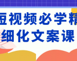 短视频必学精细化文案课，提升你的内容创作能力、升级迭代能力和变现力（价值333元）-优品网赚资源库