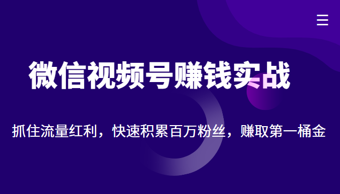 微信视频号赚钱实战：抓住流量红利，快速积累百万粉丝，赚取你的第一桶金-优品网赚资源库