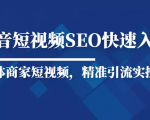 抖音短视频Seo搜索排名优化新手快速入门教程,实体商家短视频,精准引流实操课-优品网赚资源库