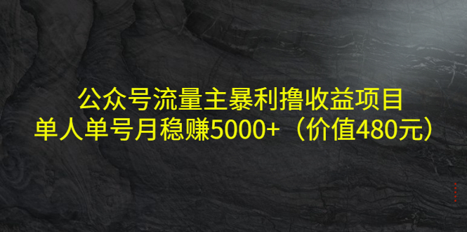 公众号流量主暴利撸收益项目，单人单号月稳赚5000+（价值480元）-优品网赚资源库