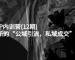 新媒体IP内训营(12期)，一套全新的“公域引流，私域成交”IP打法，直接带走-优品网赚资源库