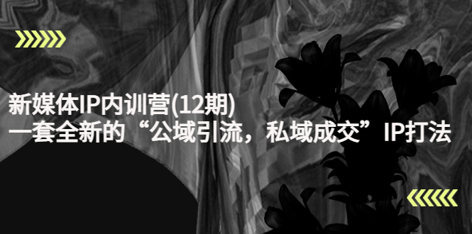 新媒体IP内训营(12期)，一套全新的“公域引流，私域成交”IP打法，直接带走-优品网赚资源库